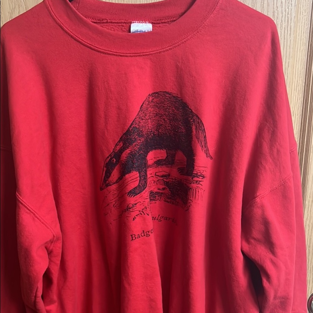 Badgers Sweatshirt
